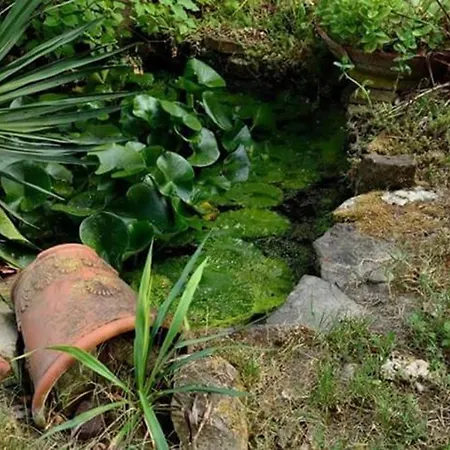 ベッド・アンド・ブレックファスト Santa Libera